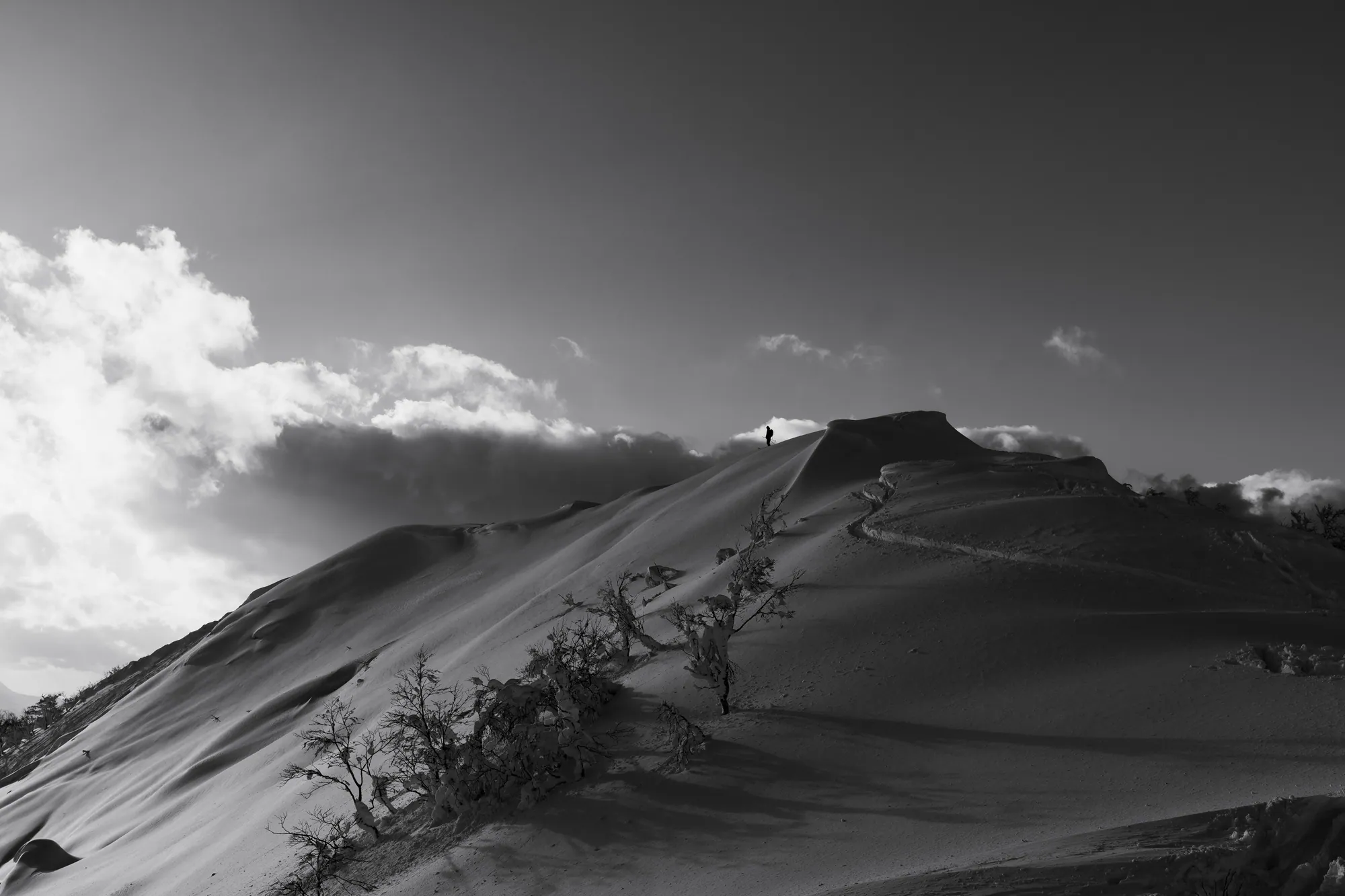 Korua Shapes — image 1