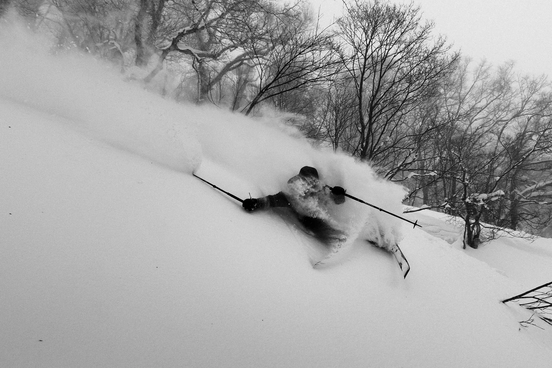 Winter Sports — image 1