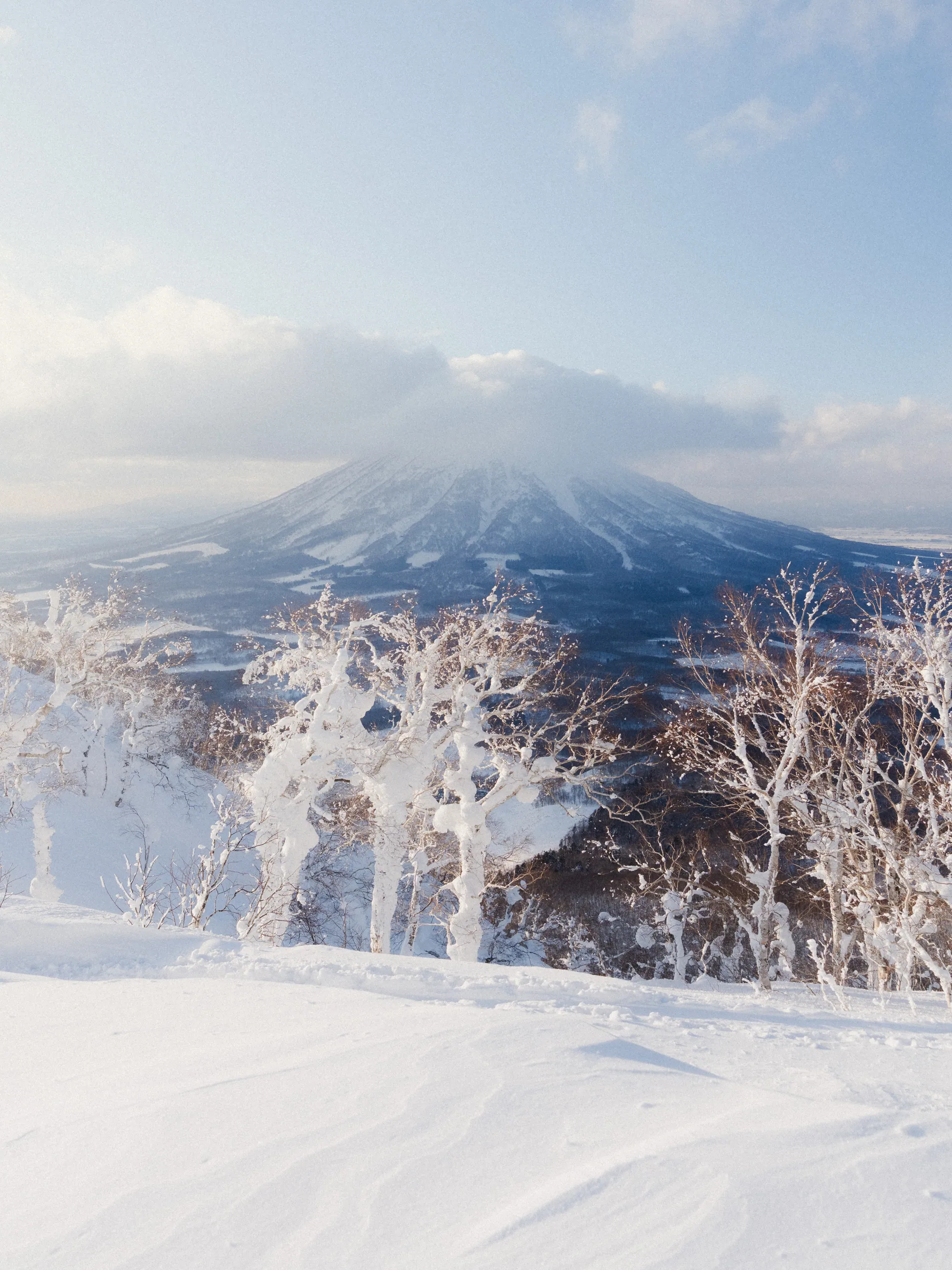 Winter Sports — image 3